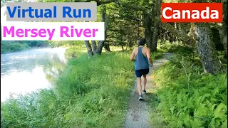 Mersey River Trail | Virtual Run