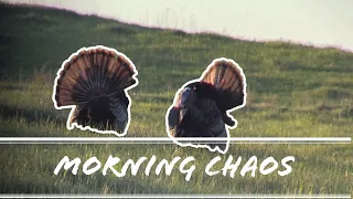 Iowa Turkey Hunting 2020 Part 3 || I Missed on a DOUBLE!!!