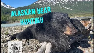 Guided Alaskan blackbear hunt 2022