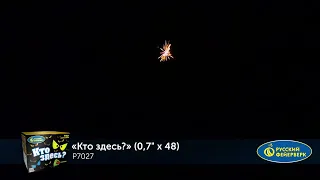 Батарея салютов "Кто здесь? " (0, 7 дюйма×48 залпов) от Русский фейерверк