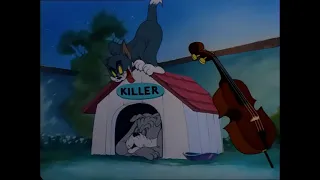 Tom & Jerry | Solid Serenade