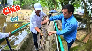 Chia Tay Cá Sấu Và Rùa Núi Vàng Sau 3 Năm Gắn Bó - Thăm Lại Chú Khỉ Baby / Quế Nghịch