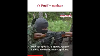 Военный эксперт Михаил Самусь: «Армия РФ – в панике. Украинское войско владеет инициативой»