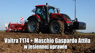 Valtra T174 + Maschio Gaspardo Attila w jesiennej uprawie 2021