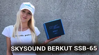 Динамики SKYSOUND BERKUT SSB-65 / Новинка от SKYLOR - #miss_spl