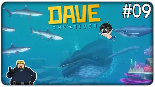 AIUTIAMO UN CUCCIOLO DI BALENA E SCOPRIAMO LA CITTA' DELLA GENTE DEL MARE | Dave the Diver - ep.09