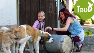 Welpenschutz (Folge 59) | Tiere bis unters Dach | SWR Plus