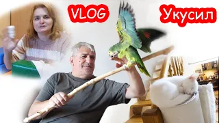 VLOG Почему я должна жить как другие?