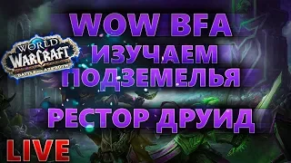 | WoW BFA | Эпохальные подземелья РДРУ 345 ilvl.