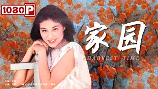Harvest Time | Best Drama | Chinese Movie 2021