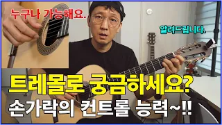 트레몰로 훈련법 - 당신도 할 수 있습니다.  (실제 예시 포함)