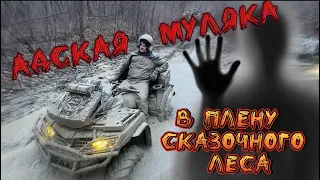 Мощная катка на квадроциклах CFMOTO 2024 В плену сказочного леса!Остались без колеса 20км за 6 час