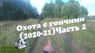 Охота с гончими!(2020-21)Часть 2