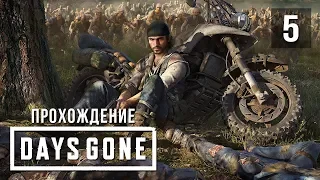 Зачистка гнёзд • Days Gone • #5