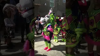 CARNAVAL PEÑON DE LOS BAÑOS CALAVERAS 2024