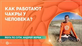 Чакры: строение и свойства. Как работают чакры у человека?