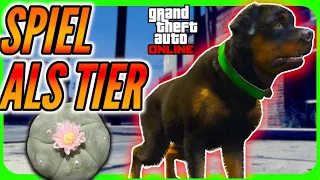 Du kannst dich in ein Tier verwandeln  - GTA 5 Online Deutsch