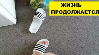 ЖИЗНЬ ПРОДОЛЖАЕТСЯ, НЕСМОТРЯ НА ПОЛЁТ