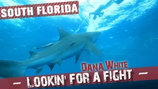 Dana White: Lookin’ for a Fight – South Florida