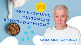 Чем кормить питомцев вегетарианцам? - Александр Хакимов