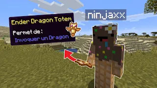 J'ai ajouté des Totems Ultra Cheat sur Minecraft..