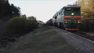 Тепловозы 2ТЭ116 с грузовыми поездами на перегоне Торошино – Любятово