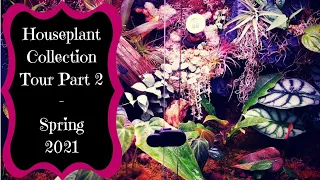 Houseplant Collection Tour Part 2! - Ikea Greenhouse Cabinet & Terrarium Tours