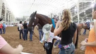 NRHA Derby '14 - Carlee McCutcheon in the Short Stirrup