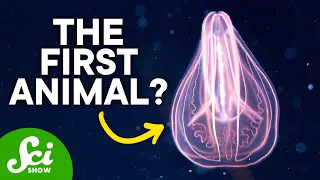 The First Animal Ever on Earth