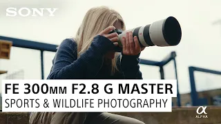 Sports & Wildlife Photography on the Sony 300mm F2.8 G Master