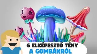 6 elképesztő tény a Gombákról, amit te sem tudtál!