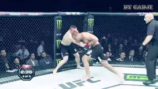 Mirko Cro Cop vs Gabriel Gonzaga 2