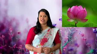 FLOWERS 🌸💐💐 | EVS | LKG | KIDS