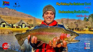 Fly Fishing for Trout  Drakensberg South Africa-  (Part 1)