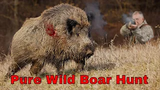 Pure Wild Boar Hunting in Elena Balkan - BH 27