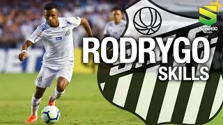 Rodrygo - Magic Skills, Dribles & Gols - Santos | HD