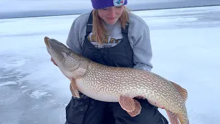 She pulls up a 30lb NORTHERN PIKE!