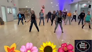 Jerusalema Line Dance Demo