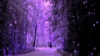 Медленно падает снег  под  треск  камина.