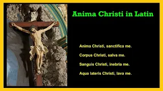 Anima Christi in Latin - Catholic Prayer - Soul of Christ.