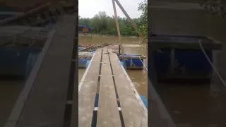 Monster Croc 20ft emerged in Malaysian River