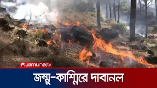 দাবানলে পুড়ছে জম্মু-কাশ্মিরের রাজৌরি বনাঞ্চল | Kashmir Fire | Jamuna TV