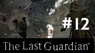 The Last Guardian Walkthrough Gameplay Part 12 (Full Game) – 1080p Full HD PS4 – No Commentary