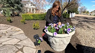 Pinching Snapdragons, Simple Spring Containers & Transplanting Iris! 🌿✂️🙌 // Garden Answer