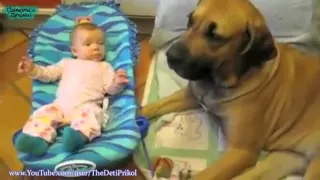 Лучшая подборка Собаки и Дети!Приколы с Детьми!   The best selection Dogs and Children