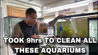 TOOK 9hrs TO CLEAN THESE AQUARIUMS!