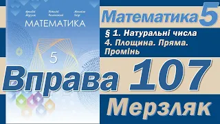 Мерзляк Вправа 107. Математика 5 клас