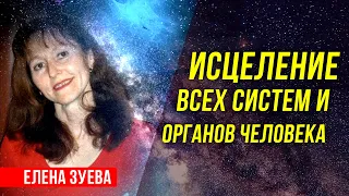 Исцеление, регенерация, омоложение всех систем и органов человека! Елена Зуева