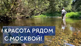 Изучаю нахлыстовые реки в районе Подольска (Пахра, Десна и Моча)