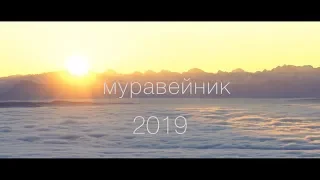 Муравейник - В. Цой | Клип 2019